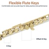 Mendini by Cecilio 16 Keys Closed Hole C Flute Kit for Beginners – Black(Gold)