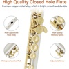 Mendini by Cecilio 16 Keys Closed Hole C Flute Kit for Beginners – Black(Gold)