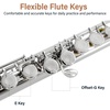 Mendini by Cecilio 16 Keys Closed Hole C Flute Kit for Beginners – Black(PINK)