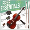 Mendini By Cecilio 1/2 Violin Set For Beginners, Black Solid Wood – Acoustic Violins Set with Hard Case, Tuner, Shoulder Rest, 2 Bows, Rosin, Bridge & Strings (Flamed)(4/4)