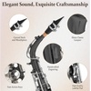 Mendini By Cecilio Eb Alto Saxophone Kit for Beginner – Black Silver(Black & Nickel)