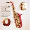 Mendini By Cecilio Eb Alto Saxophone Kit for Beginner – Black Silver(Red)