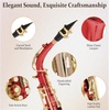 Mendini By Cecilio Eb Alto Saxophone Kit for Beginner – Black Silver(Red)