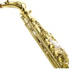 Mendini by Cecilio MTS-PL+92D Purple Lacquer B Flat Tenor Saxophone with Tuner, Case, Mouthpiece, 10 Reeds and More(GOLD)
