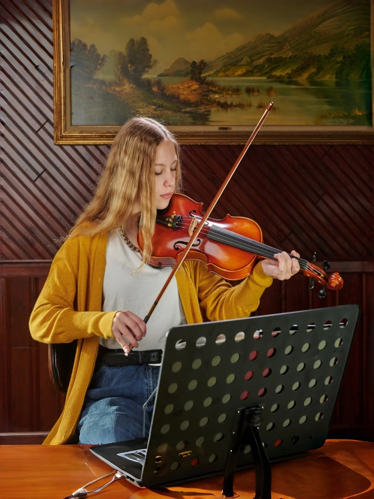 MENDINIBY acoustic violin set and OrchestraInstruments