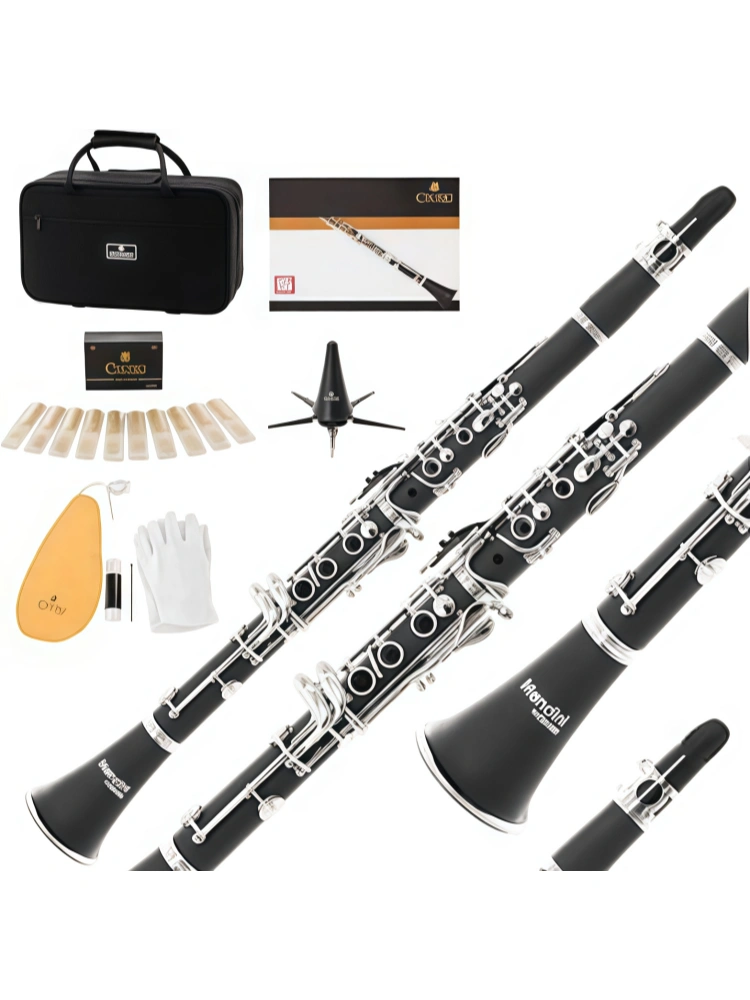 MENDINIBY acoustic violin set and OrchestraInstruments